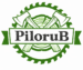 PiloruB Services